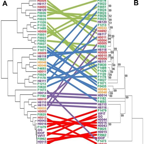 Comparison Of Hierarchical Clustering And Phylogenetic Tree Of A