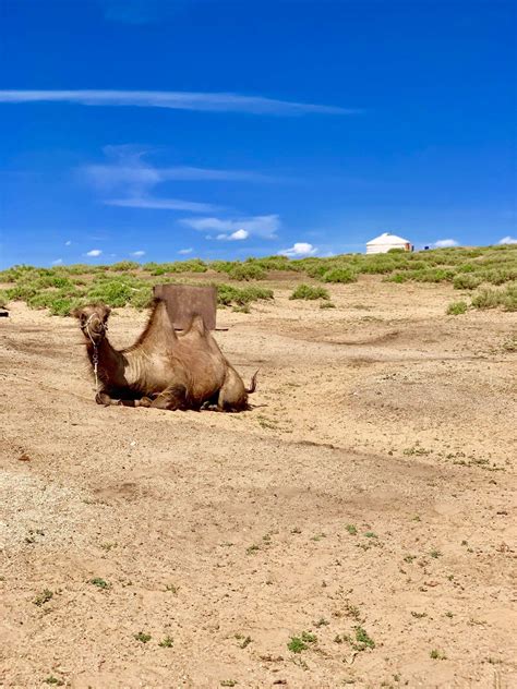 Mongolia Visa for UK Citizens - British Passport Tips for Travel to