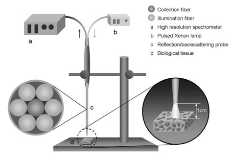 Schematic Diagram Of Experimental Setup For Diffuse Reflectance