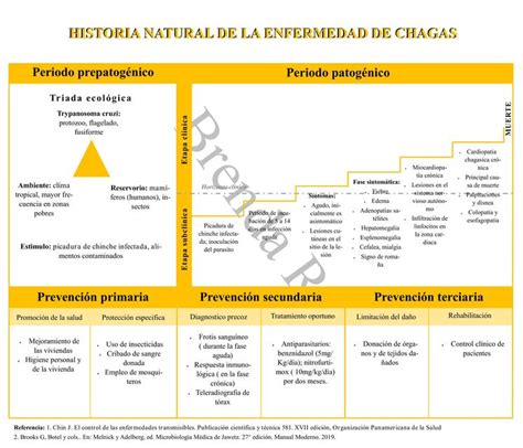 Ppt Historia Natural De La Enfermedad Powerpoint Presentation Free