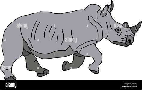 isolated colour animal illustration paint draw cartoon rhino rhinoceros ...