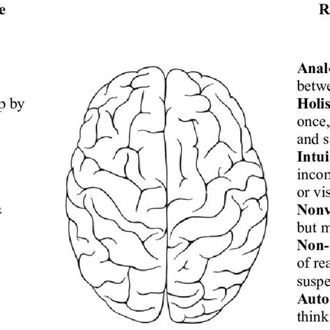 Left and Right Hemisphere | Download Scientific Diagram