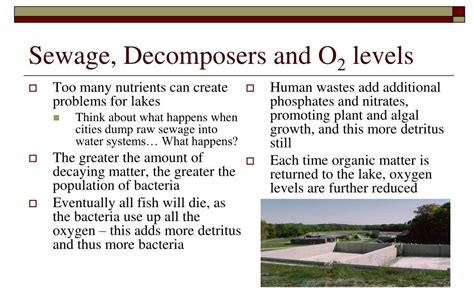 Ppt Unit Sustaining Ecosystems Powerpoint Presentation Free