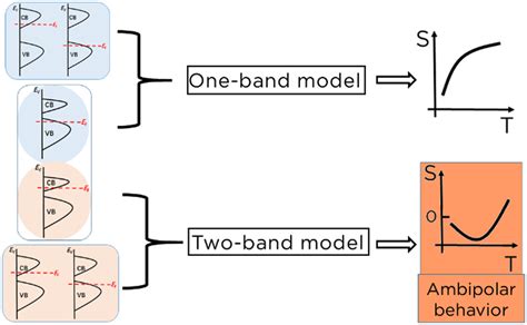 Understanding The Temperature Dependence Of The Seebeck Coefficient