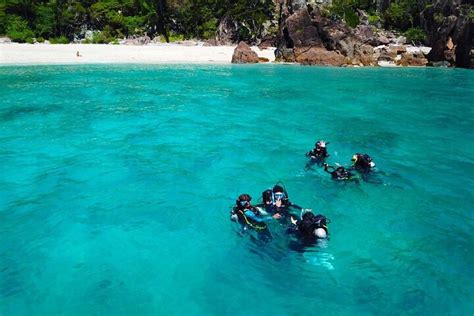 Scuba Diving Day Tour From Airlie Beach - Aqua5 Harga Promo Terbaru 2023