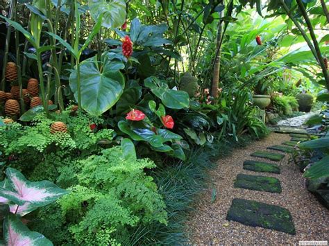 34 Lovely Tropical Garden Design Ideas Magzhouse