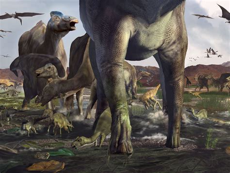 Alaskan tracks belong to herd of duck-billed dinosaurs | Science | AAAS