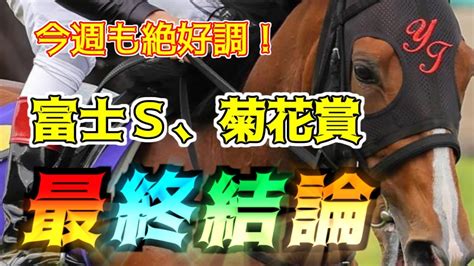 【菊花賞富士s2022】今週の馬券の最終結論！過去データ血統枠順人気騎手適性！馬券の参考になる競馬予想！ Tkhunt