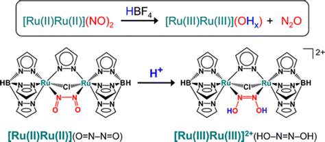 Proton Assisted Mechanism Of NO Reduction On A Dinuclear Ruthenium