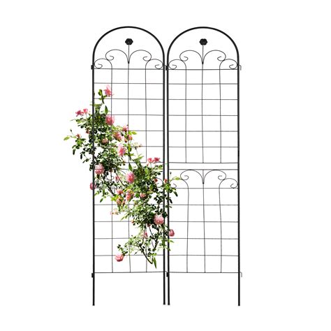 Relaxdays Grigliati Per Rampicanti Set Da 2 HxL 180 X 50 Cm Supporti