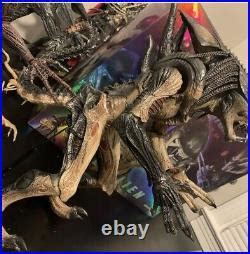 Hot Toys Mms55 Alien Vs Predator Avp R Predalien 1 6 Scale Action Figure Great Scale Action Figure