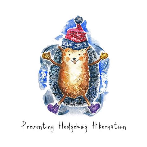 Preventing Hedgehog Hibernation