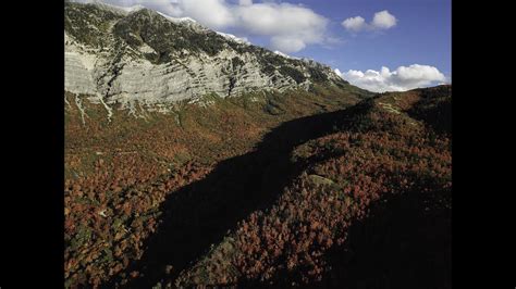 Fall Colors near Provo, Utah - Drone Photography