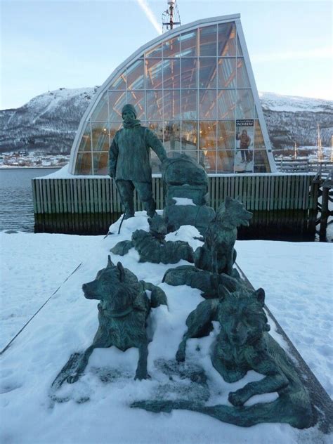 Tromso | Tromso, Beautiful norway, Norway viking