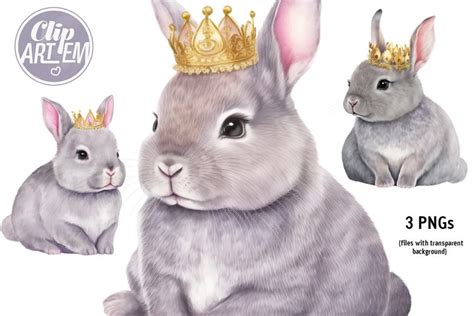 Princess Bunny Clip Art 3 Pngs Rabbit Crown Images Set