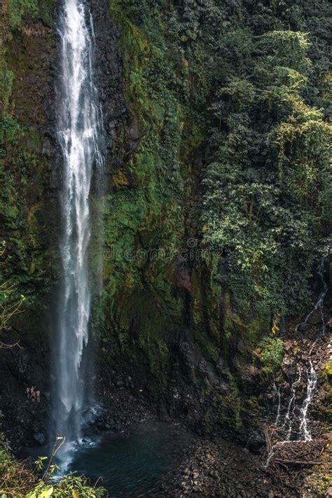 181 Alajuela Waterfall Stock Photos - Free & Royalty-Free Stock Photos ...