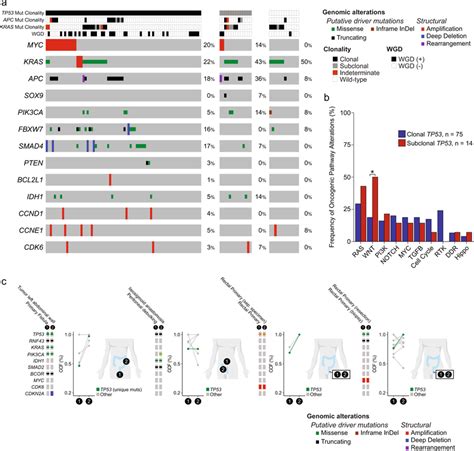 TP53 Clonality And Concurrent Alterations A Oncoprint Of Recurrent