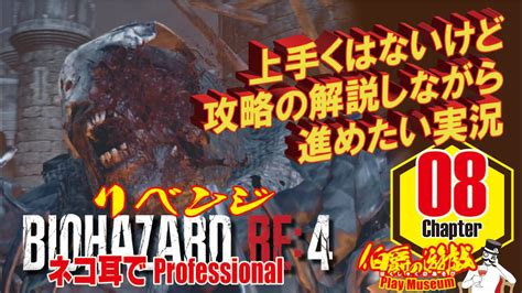 Re Chapter Biohazard Re Professional Youtube