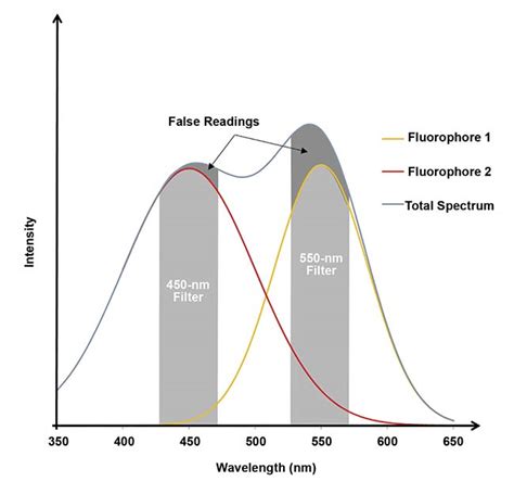 Diode Array Spectrometers Augment Fluorescence-Based Research | Features | Mar/Apr 2021 ...