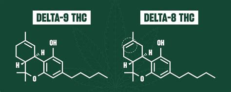 Unpacking the Differences: Delta 8 and Delta 9 THC Explained