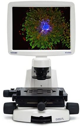 EVOS FL Cell Imaging System Thermo Fisher Scientific JP