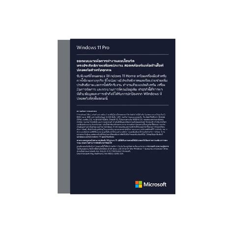 Microsoft Windows 11 Pro 64 Bit ENG FPP HAJ 00090 AB SHOP