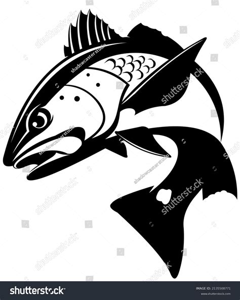 415 Redfish Swimming Images Stock Photos Vectors Shutterstock