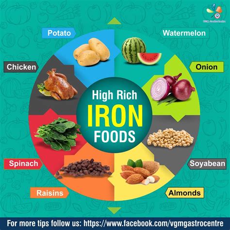 Iron Is An Essential Nutrient And Plays An Important Role In Functioning Of Our Human Body Iron