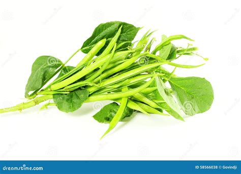 Cluster Bean Or Guar Been Indian Vegetable In White Background Stock ...