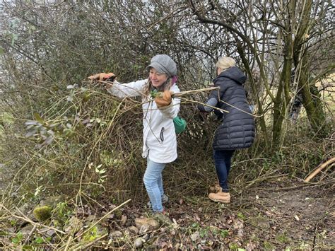 Motiviert Am Wildstr Ucher Schnittkurs Verein Pro Riet Rheintal