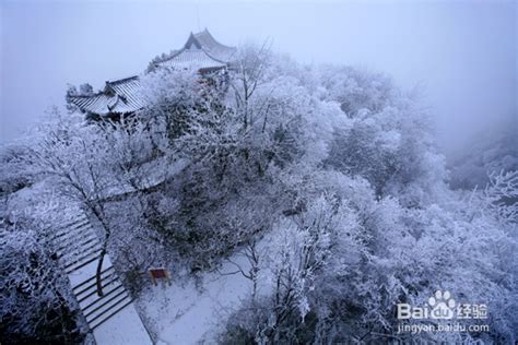 重庆市石柱县黄水国家森林公园 百度经验