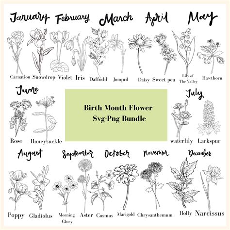 12 Wildflower Design Birth Month Flower Floral Botanical Etsy