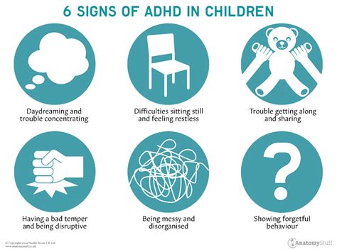 Adhd Symptoms Causes Management Anatomystuff