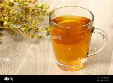 Dried Sage Hot Drink Sage In Glass Stock Photo Alamy