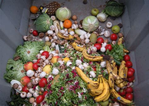 technologies   future  food waste  future