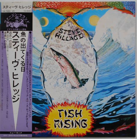 Steve Hillage Fish Rising Vinyl Records Lp Cd On Cdandlp