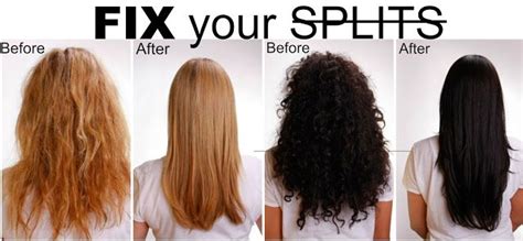 Get Rid Of Split Ends Without Trimming With 2 Ingredients Cabelo