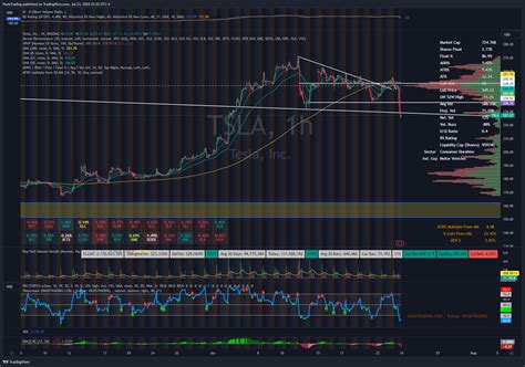 BATS TSLA Chart Image By PaxisTrading TradingView