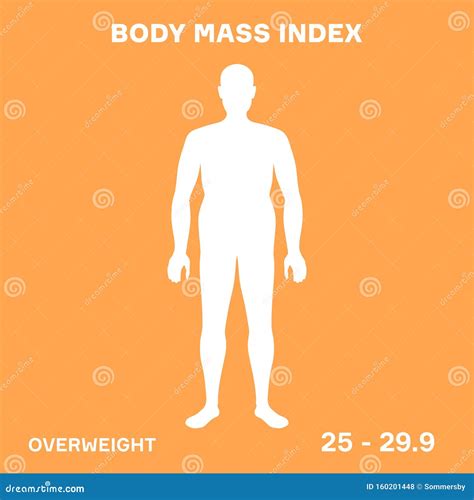 Characterizing Male Silhouettes For Different Stages Of Body Mass Index