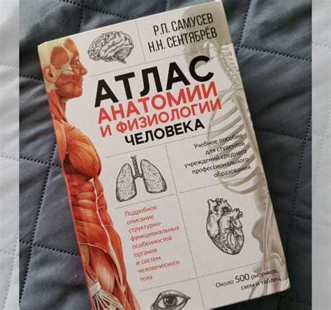 Атлас анатомии и физиологии человека, Р.П. Самусев | Festima.Ru ...