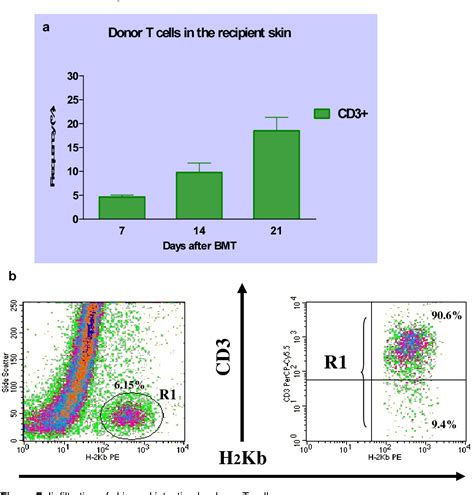 Figure 7 From IMMUNOBIOLOGY OF GRAFT VERUS HOST DISEASE IN CHEMOTHERAPY