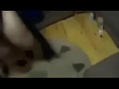 Arab Show In Bikini Arab Girls Amazing Belly Dance Hot Ass Xxx Mobile Porno Videos Movies