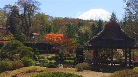 Private Mount Fuji Viewing Full-Day Tour with Hot Springs - Tokyo | Expedia