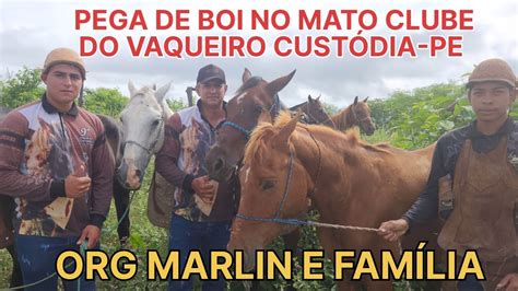 Pega De Boi No Mato Clube Do Vaqueiro Cust Dia Pe Org Marlin E