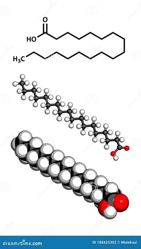 Stearic Acid, Octadecanoic, Saturated Fatty Acid Molecule. Structural ...