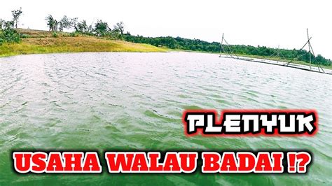 Badai Di Spot Njebolan Mancing Nila Umpan Lumut Mancing Nyobok Youtube