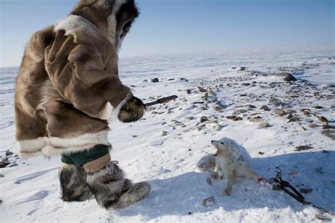 The Origin of Name Nunavut