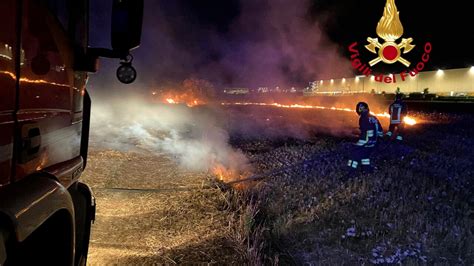 Baracche E Terreni A Fuoco A Campi Bisenzio Ingente Intervento Dei