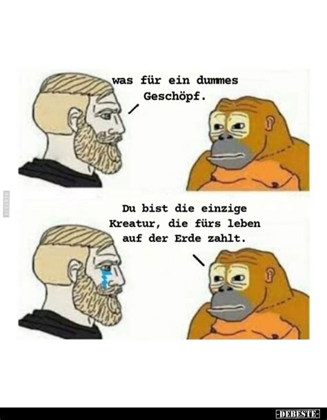 10 Lustige Bilder H Seite 2041 DEBESTE De