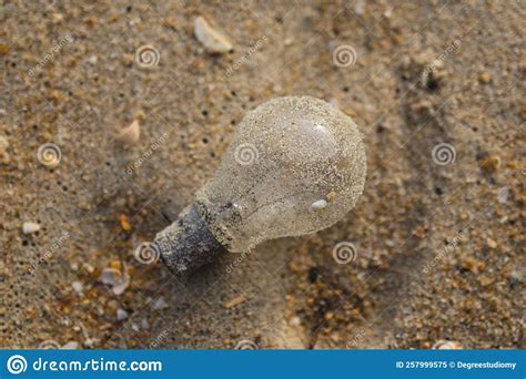 Glass Light Bulb Pollution on the Beach. Stock Image - Image of change ...